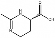 Ectoin