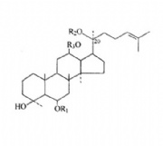 Ginseng extract