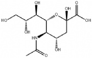 N-乙酰神经氨酸