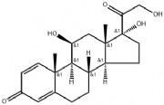 Prednisolone