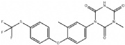托曲珠利