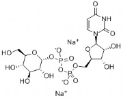 UDPG.2Na