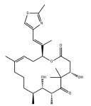 Epothilone D